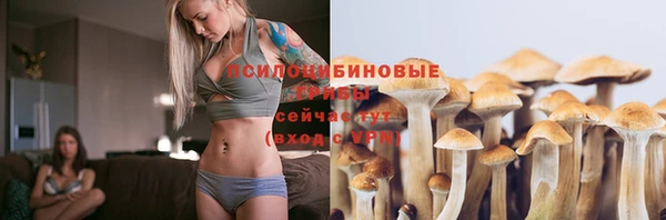 спайс Карпинск