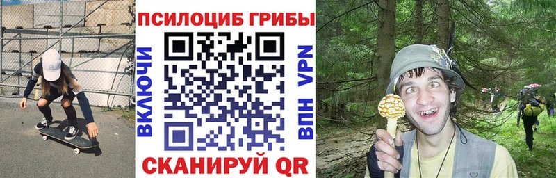 блэк спрут онион  где купить   Ессентуки  Псилоцибиновые грибы GOLDEN TEACHER 